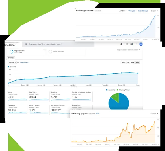 Dental campaign charts showing traffic and search performance